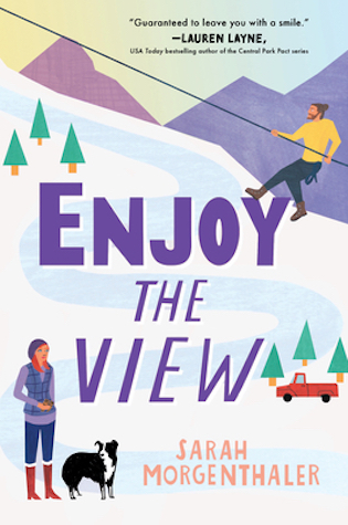 Book cover of Enjoy the View by Sarah Morgenthaler